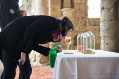 Festval des vins AOC Touraine au Prieuré St Cosme à La Riche. Stands des vignerons, ateliers culinaires.