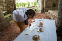 Festval des vins AOC Touraine au Prieuré St Cosme à La Riche. Stands des vignerons, ateliers culinaires.