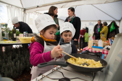 Festval des vins AOC Touraine au Prieuré St Cosme à La Riche. Stands des vignerons, ateliers culinaires.