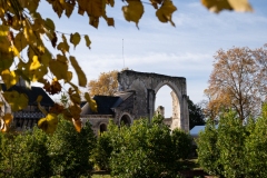 Festival des vins de l'AOC Touraine au Prieuré St Cosme.