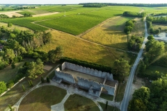 Paysages de vignes sur la commune de Thésée , AOC Touraine.