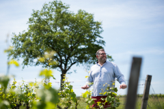 Portrait de Benoit Lagarde, Vignoble Gibault, vigneron à Meusnes.