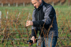 Portrait de Sebastien Paris, domaine Paris - Simoneau à Saint Georges-sur-Cher.