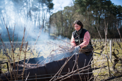 Portrait de Gaëlle Charbonnier, vigneronne à St-Romain/Cher, domaine de la Blinière.