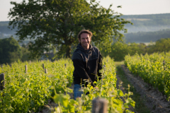 Portrait de Mickael Bouges, vigneron à Faverolles-sur-Cher.