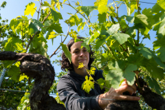 Mathilde Sauvète, vigneronne à Monthou-sur-Cher, domaine Sauvète.