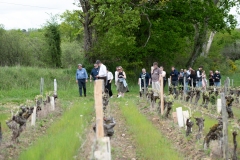 Visite du domaine viticole de Raphael Midoir à Chémery (41) à l'occasion des rencontres Val de Loire Millésimes. Une cinquantaine de journalistes sont invités à decouvrir le terroir et déguster les vins de l'AOC Touraine.