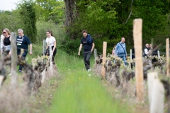 Visite du domaine viticole de Raphael Midoir à Chémery (41) à l'occasion des rencontres Val de Loire Millésimes. Une cinquantaine de journalistes sont invités à decouvrir le terroir et déguster les vins de l'AOC Touraine.