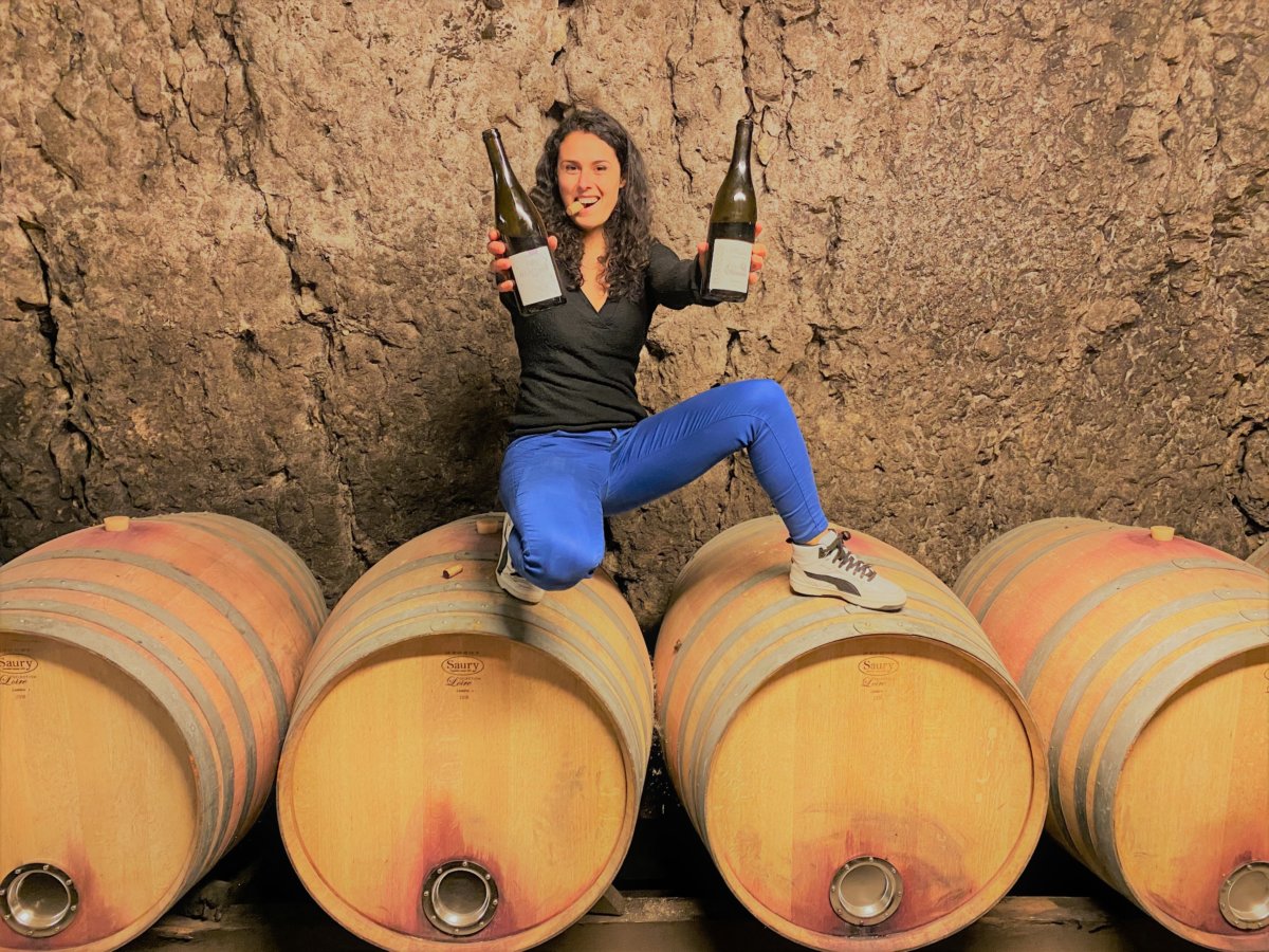Tout savoir sur… Les vins de l’AOC Touraine